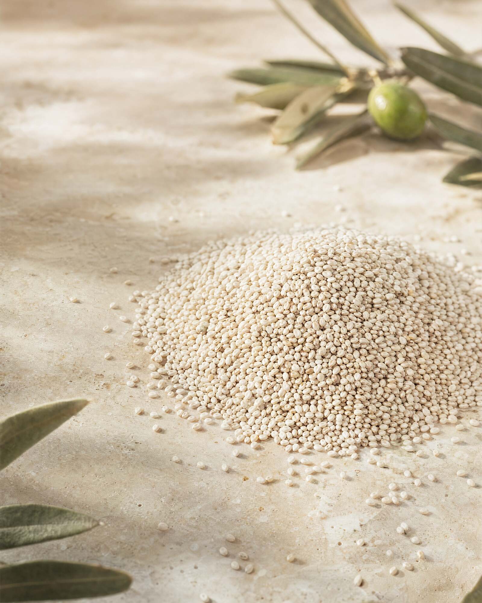 White Chia